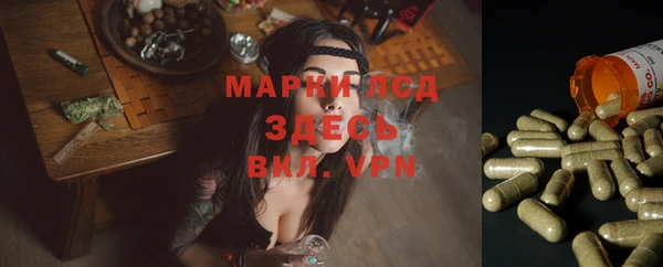 стафф Абинск