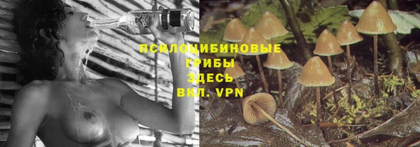 стафф Абинск