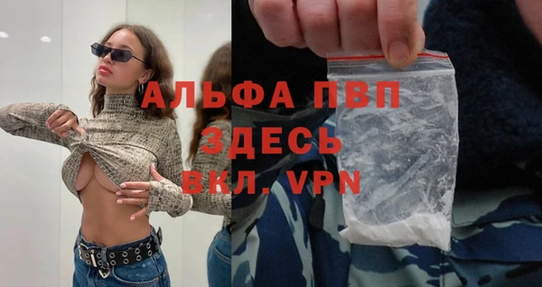 стафф Абинск