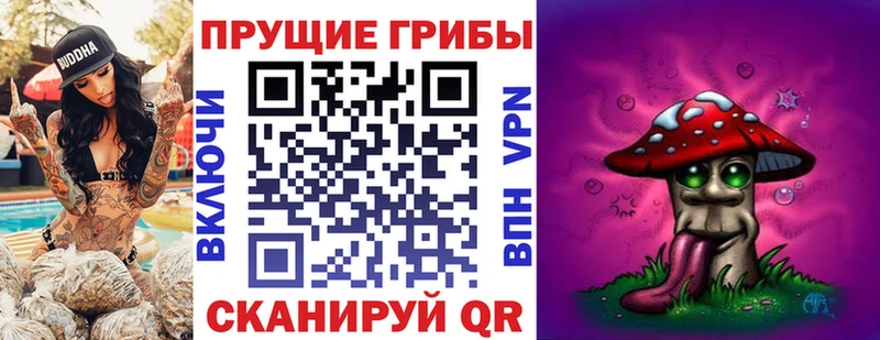 где продают   Горячеводский  Галлюциногенные грибы Cubensis 